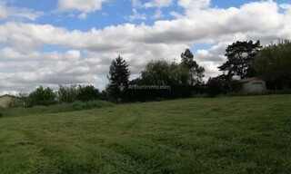 Photo N° 4