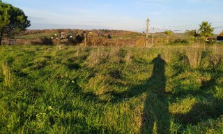 Photo N° 5