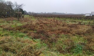 Terrain  605 m² à vendre à Podensac (33720)