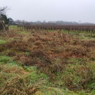Terrain  105000 €