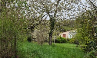 Photo N° 3