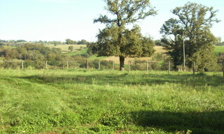 Photo N° 3