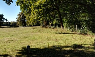 Terrain  900 m² à vendre à Margaux-Cantenac (33460)