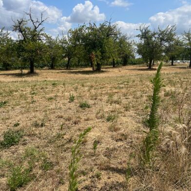Terrain  30000 €