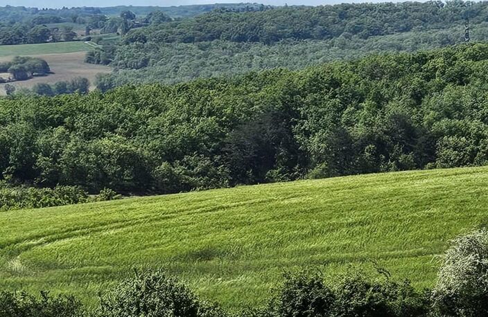 Magnifique Terrain avec Vue Dominante sur les Pyrénées — photo 2