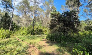 Terrain  10689 m² à vendre à Tourrettes (83440)
