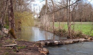 Photo N° 3