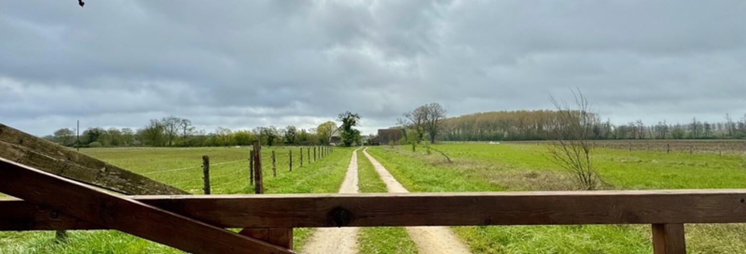 Maison 7 Pièces 232 m² à vendre à Courcelles-de-Touraine (37330)