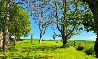 Photo N° 3