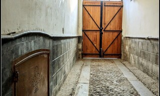 Photo N° 6