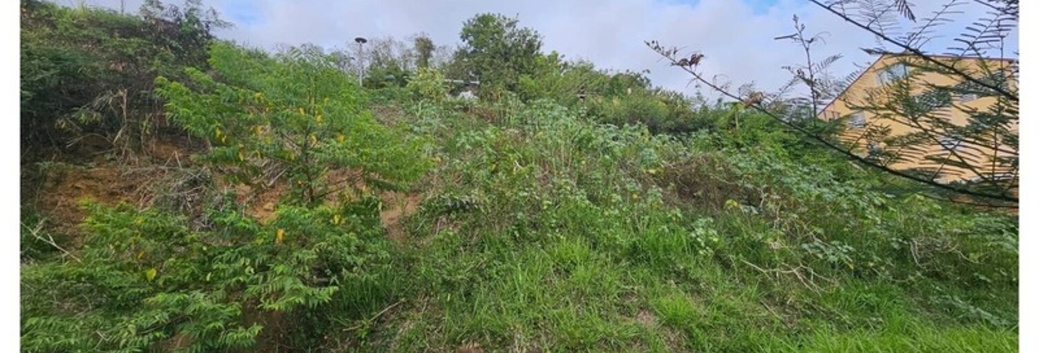 Terrain  1059 m² à vendre à Bouillante (97125)