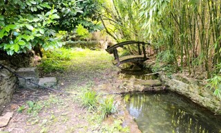 Photo N° 3