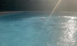 Photo N° 5