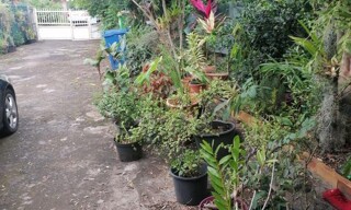 Photo N° 3