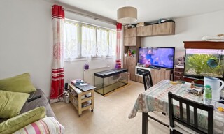 Maison 2 Pièces 42 m² à vendre à Saint-Denis-de-l'Hôtel (45550)