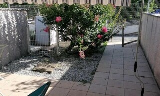 Photo N° 2
