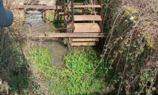 Photo N° 4