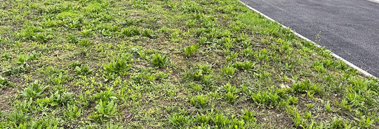 Terrain  401 m² à vendre à Épernon (28230)