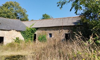 Photo N° 4
