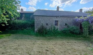 Photo N° 3