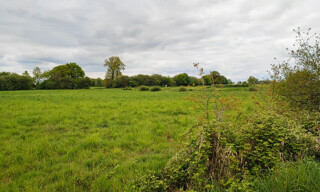 Photo N° 3