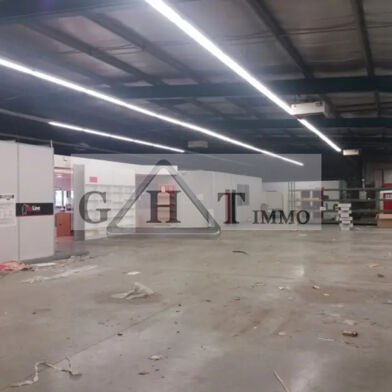 Local industriel  1250000 €