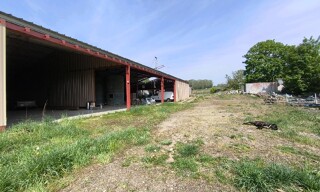 Photo N° 3