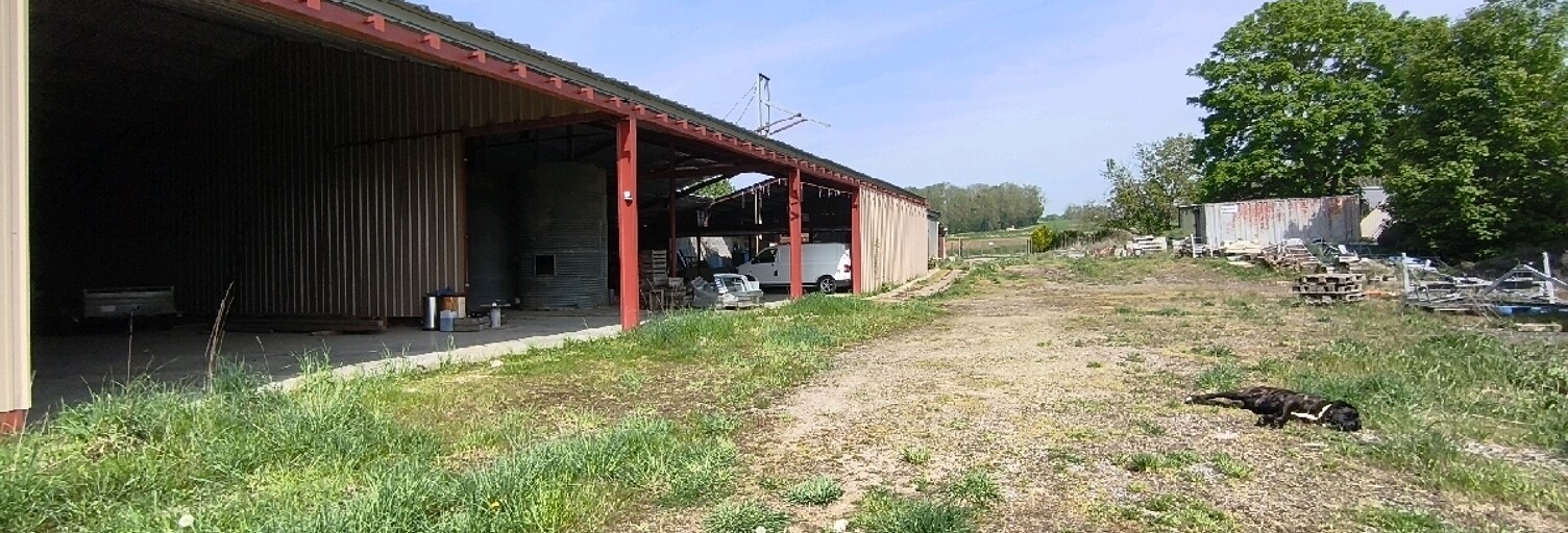 Photo N° 2