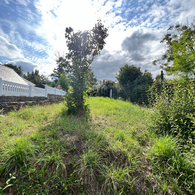 Terrain  59250 €