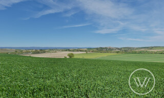Terrain  1561 m² à vendre à Bram (11150)