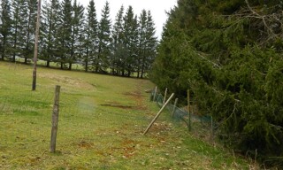 Photo N° 4