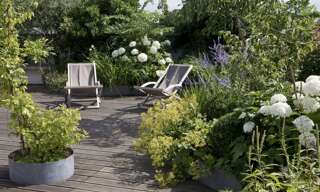 Appartement 4 Pièces 107 m² à vendre à Tassin-la-Demi-Lune (69160)