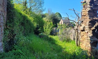 Photo N° 3