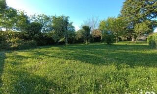 Photo N° 4