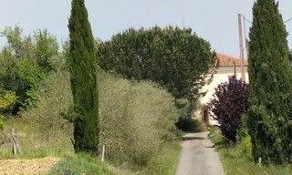 Photo N° 5