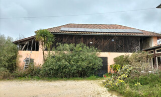 Photo N° 6