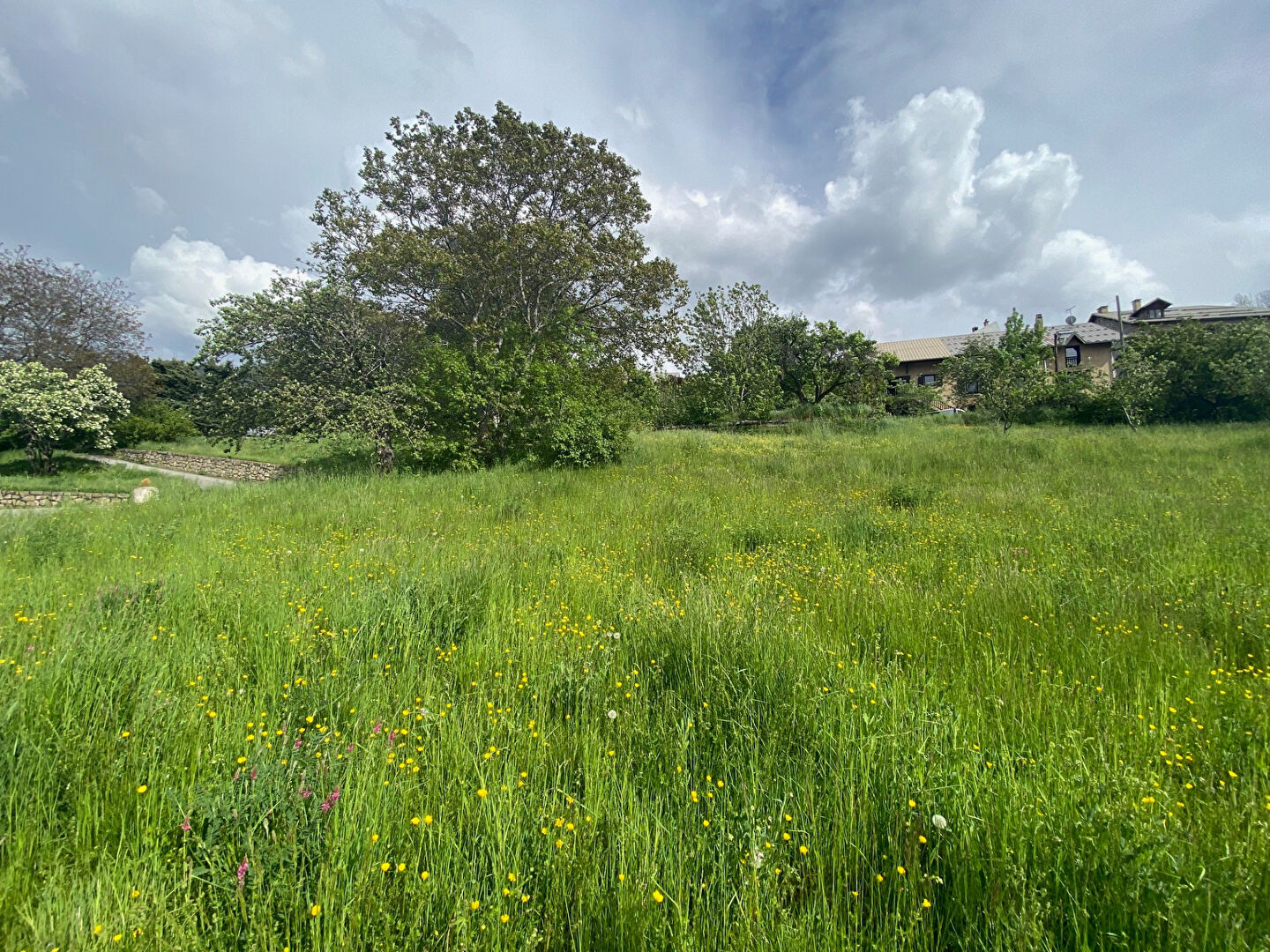 Agence immobilière de Square Habitat Guillestre