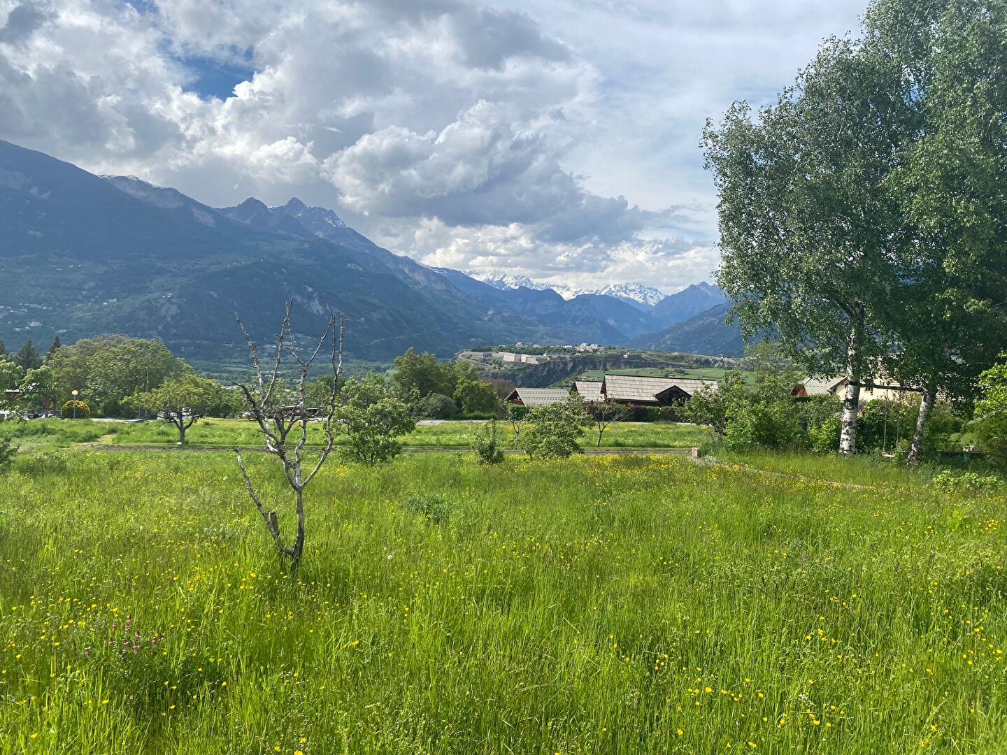 Agence immobilière de Square Habitat Guillestre
