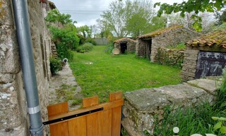 Photo N° 4