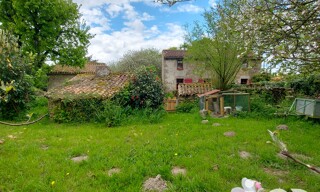 Photo N° 6