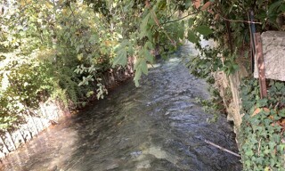 Photo N° 3