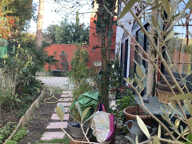 villa en viager occupé par un couple de 85 ans à proximité du centre ville  d'isle-sur-Sorgues — photo 2