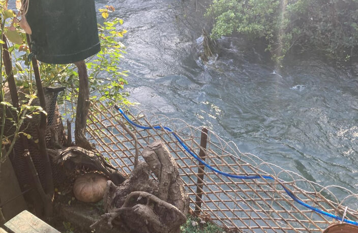 villa en viager occupé par un couple de 85 ans à proximité du centre ville  d'isle-sur-Sorgues — photo 4