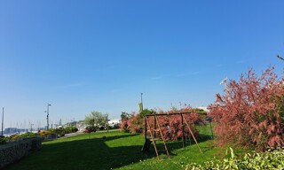 Photo N° 7