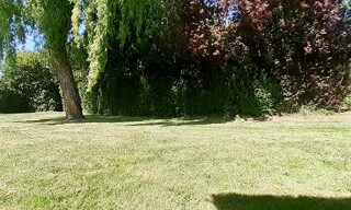 Photo N° 18