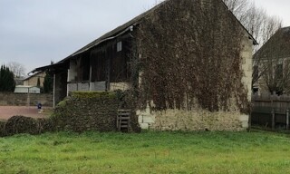 Photo N° 4