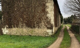 Photo N° 5