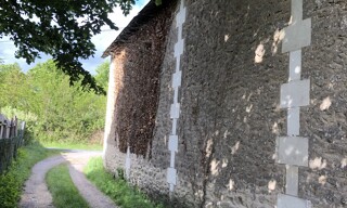 Photo N° 8
