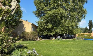 Photo N° 4