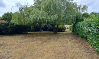 Photo N° 4
